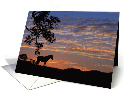 Thank you for Your Sympathy,Condolences Horse In Sunset card (976989)