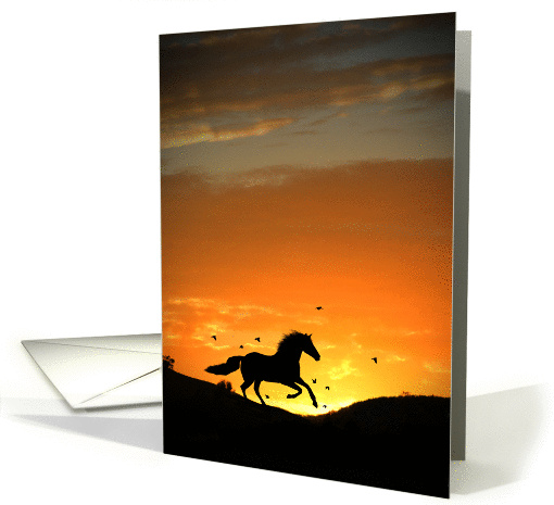 Horse in Sunset with Birds Sympathy card (980523)