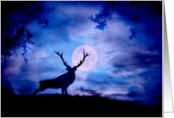 Elk and Moon Season’s Greetings card