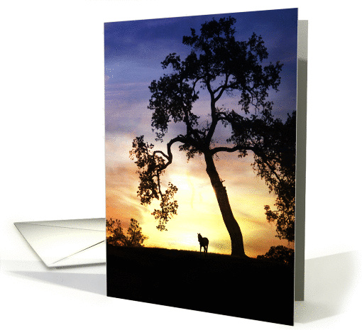 Loss of horse sympathy card (986865)