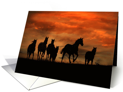 Very Cool Wild Horse Herd of Horses Birthday card (986997)