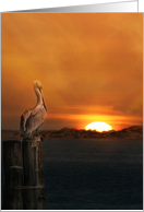Pelican Piling Sunset Deepest Sympathy, Nautical Coastal card