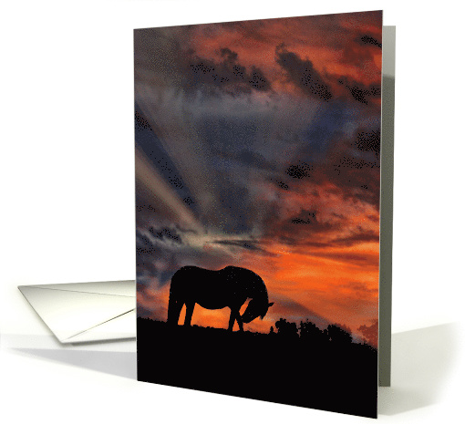 With Deepest Sympathy, Horse and Sunset card (987135)
