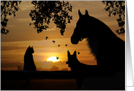 sympathy card for veterinarians horse cat dog sunset card