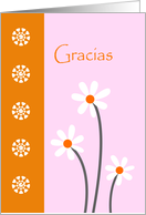 Gracias Card with White Flowers card