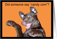 Scary Halloween Lab Puppy card