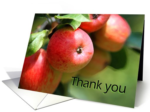 Thank You Teacher Apples card (608957)