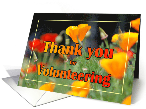 Thank You Volunteer Poppies card (628774)