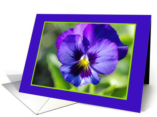 Purple Pansy card (846862)