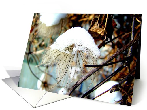 Winter Garden Note card (496346)