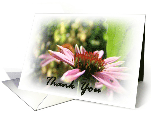 Thank You (Cone Flower) card (604177)