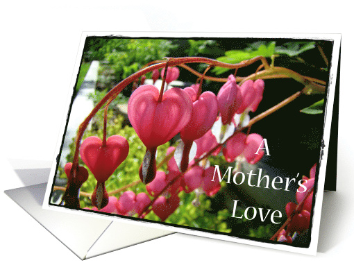 A Mother's Love card (604184)