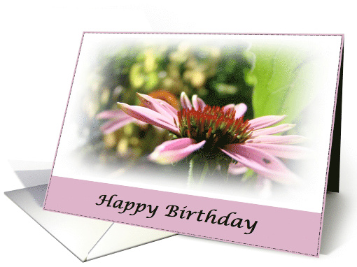 Happy Birthday (pink) card (604187)