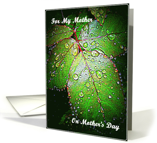 For My Mother-Mother's Day card (604203)