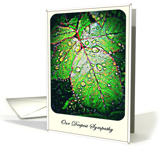 Our Deepest Sympathy, bright leaves card (611147)