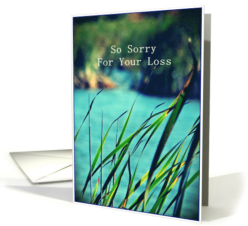 So Sorry For Your Loss card (611155)