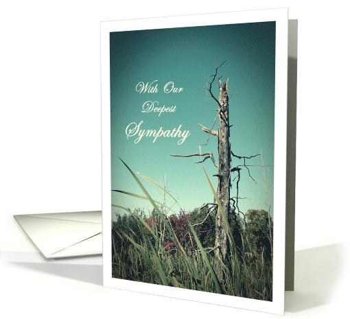 With Our Deepest Sympathy card (615414)