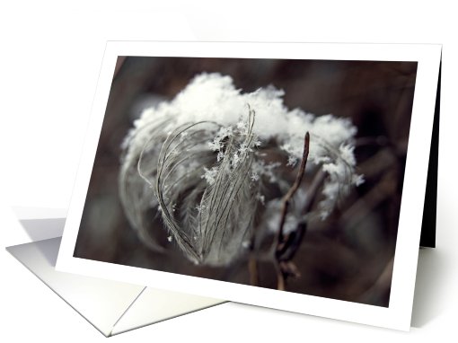Snow In The Garden- Blank Inside card (732798)