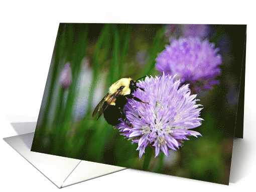 Bee On Flower- Any Occasion card (733442)