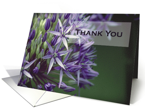 Thank You- Allium Flower card (746843)