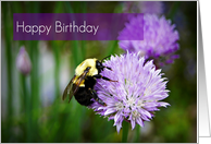 Happy Birthday-Bee On Flower card