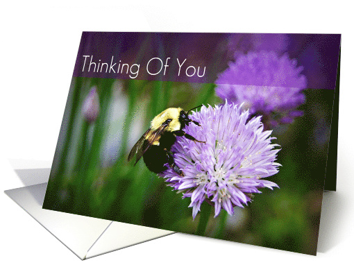 Thinking Of You-Bee On Flower card (746859)