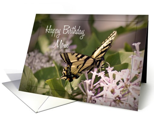 Happy Birthday Mom, butterfly on flower card (746869)