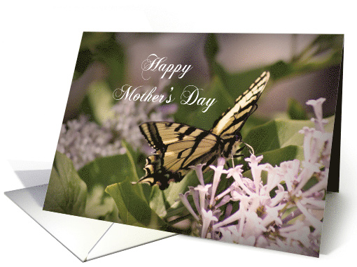 Happy Mother's Day, butterfly on flower card (746873)