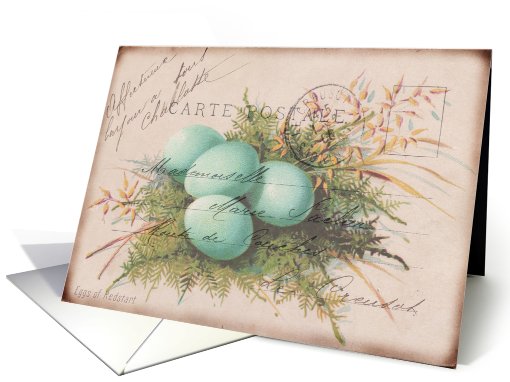 Any Occasion-Bird's Nest and Eggs card (789718)