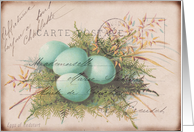 Any Occasion-Bird’s Nest and Eggs card