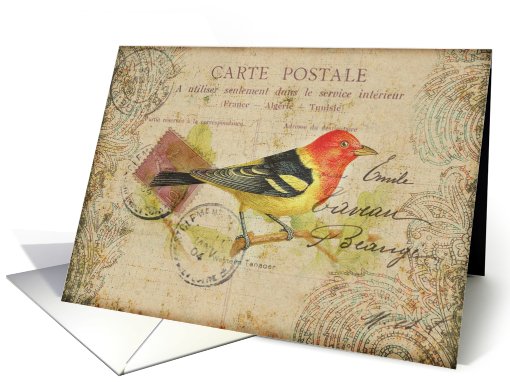 Any Occasion-Vintage Bird Postcard card (789743)