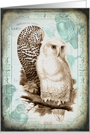 Vintage Owl Couple - Any Occasion card