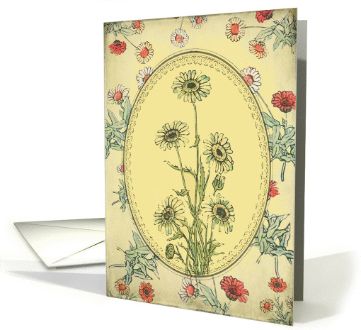 Shabby Chic Daisies - Blank Inside card (872712)