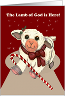 Lamb of God Christmas Card