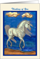Beach Arabian Horse thinking of You card