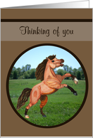 Thinking of you Rearing Pony card