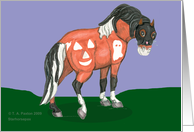 Halloween Pinto Pony card