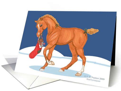 Horse Colt with Christmas Stocking Greetings card (499200)
