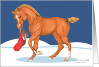 Horse Colt with Christmas Stocking Greetings card