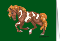 Christmas Symbol Pinto Horse Holiday Greetings card