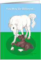 Arabian mare & Draft horse colt Welcome to the Family card