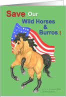 Buckskin Horse & American Flag-Save wild horses & burros card