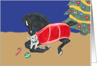 Black Foal With Cat Christmas card
