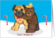Pug Dog and Teddy Bear Christmas Enclose Money card