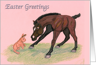 Easter Greetings Arabian Foal card