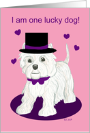 Lucky Dog Westie Valentine card