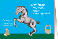 Lippizan Foal Easter card