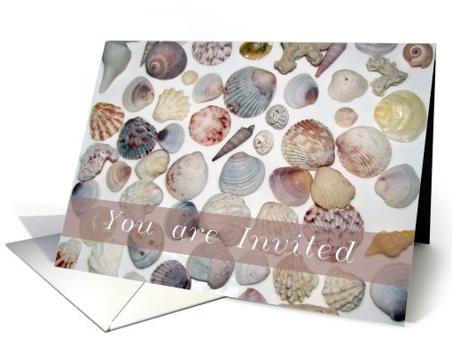 Beach Party Invite, Seashells card (608593)