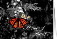 Note of Thanks Beautiful Monarch Butterfly card