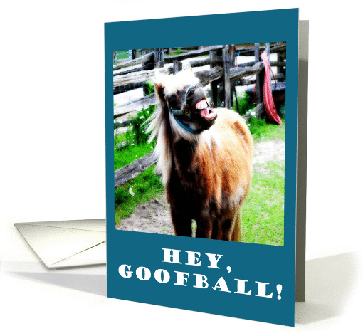 Hey Goofball! Horse Humorous Joke card (834432)